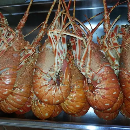 Jagodna Апартаменты *